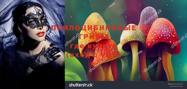 PSILOCYBIN Балахна