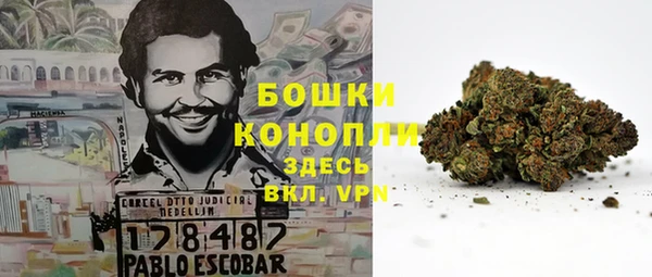 PSILOCYBIN Балахна